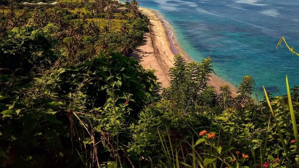 Une plage tropicale, bordée d’une végétation luxuriante, offrant une vue dégagée sur l’océan.