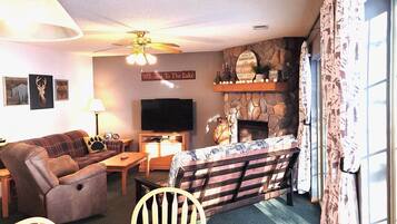 TV connectée, cheminée, lecteur de DVD, livres