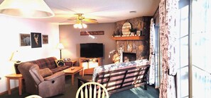 Smart TV, fireplace, DVD player, books