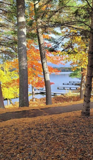 Un parc avec un lac, des bancs et des arbres aux feuilles d’automne.