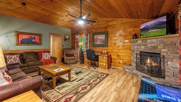 Smart TV, fireplace, video games