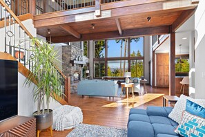 TV, fireplace, books