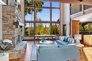 TV, fireplace, books
