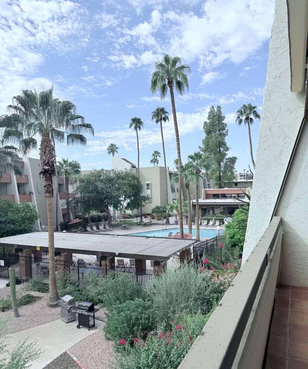 A pool area with palm trees, a barbecue setup, and a view of a building with balconies.