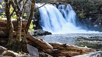 Kondominium (2 Bedrooms) | Fasilitas properti