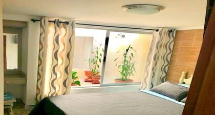 Beautiful Home / No stairs / short walk to public transit