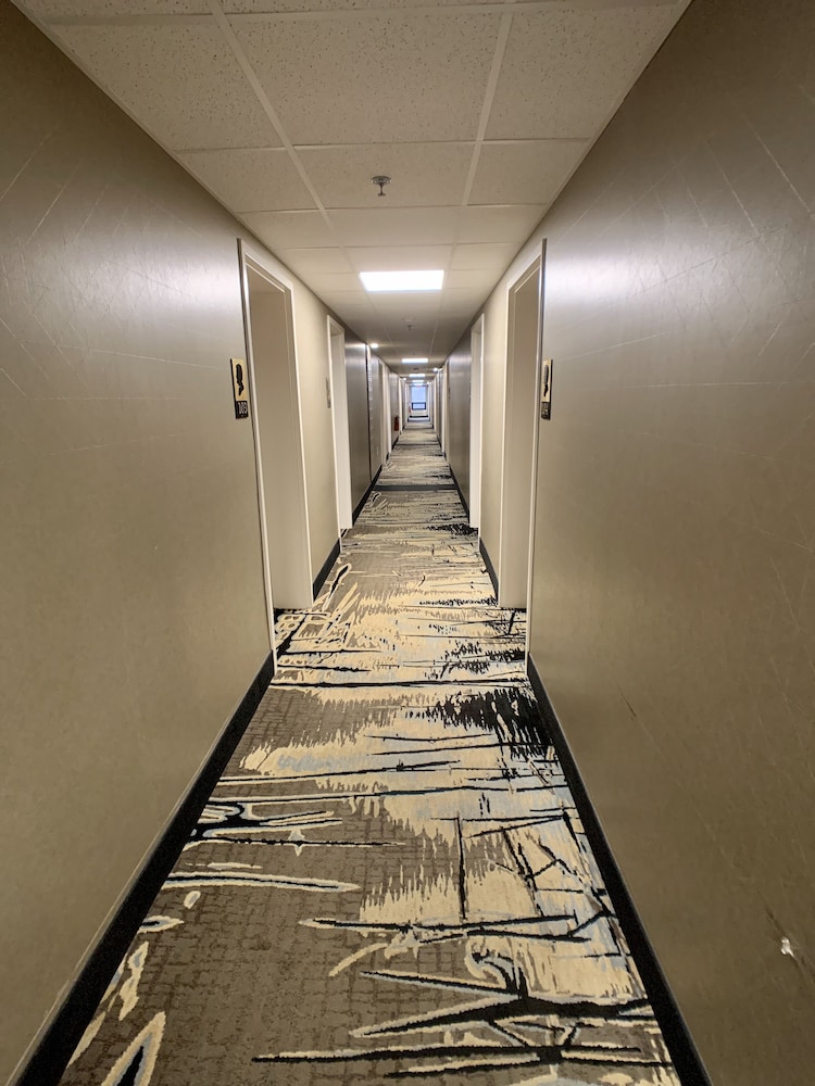 Lincoln Hotel Philadelphia by null