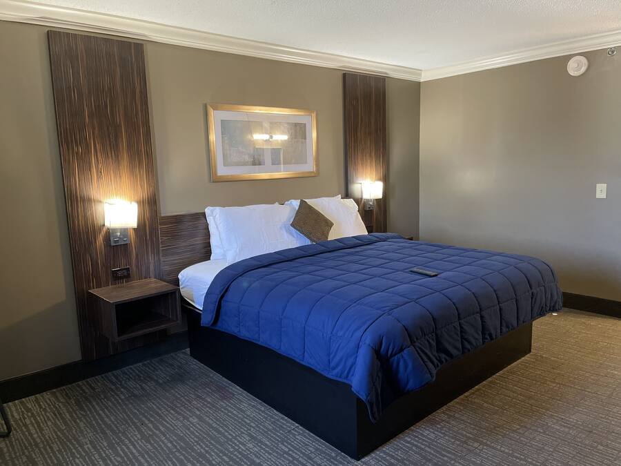 A hotel room with a large bed, two bedside tables with lamps, a framed picture on the wall, and a carpeted floor.