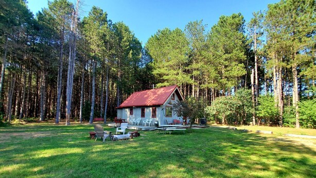 Een chalet met een rood dak, omringd door een bos.