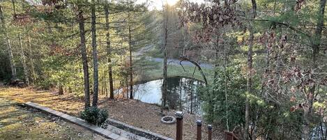 Une terrasse en bois qui mène à un étang entouré d’arbres.