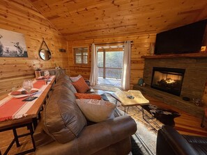 Smart TV, fireplace, books