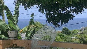 A balcony with a white chair, potted plants, and a view of the sea.