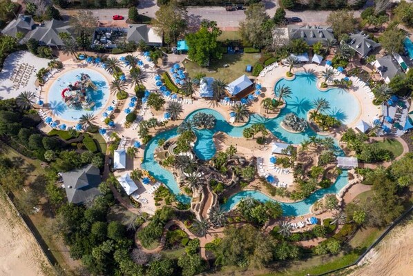 Relax by the resort's multiple pools, surrounded by palm trees and lounge chairs.