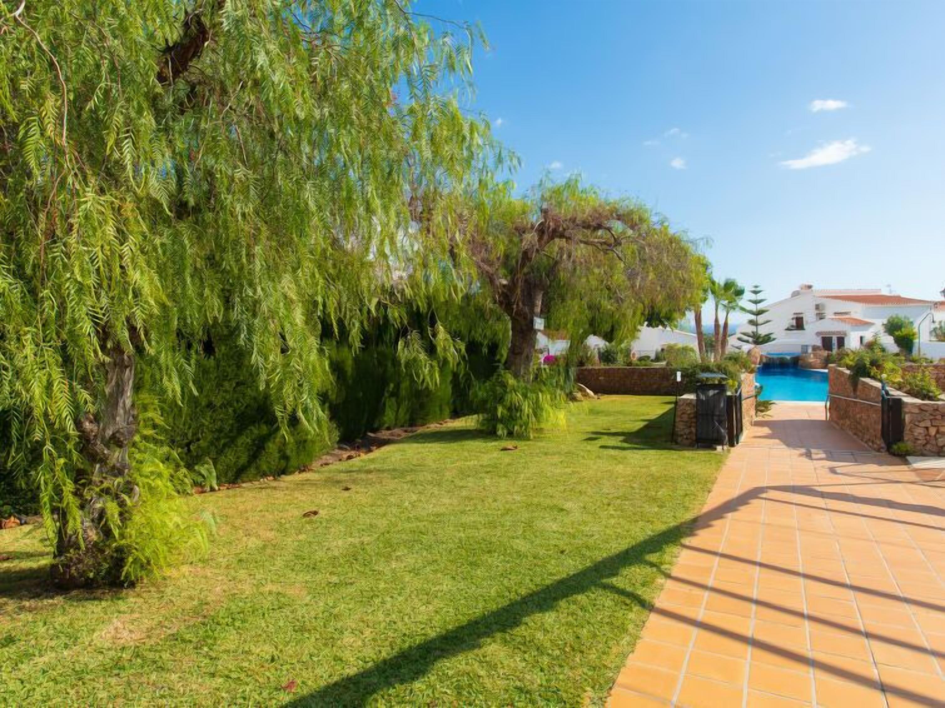 A well-maintained garden with a swimming pool, a tiled patio, and a white building in the background.