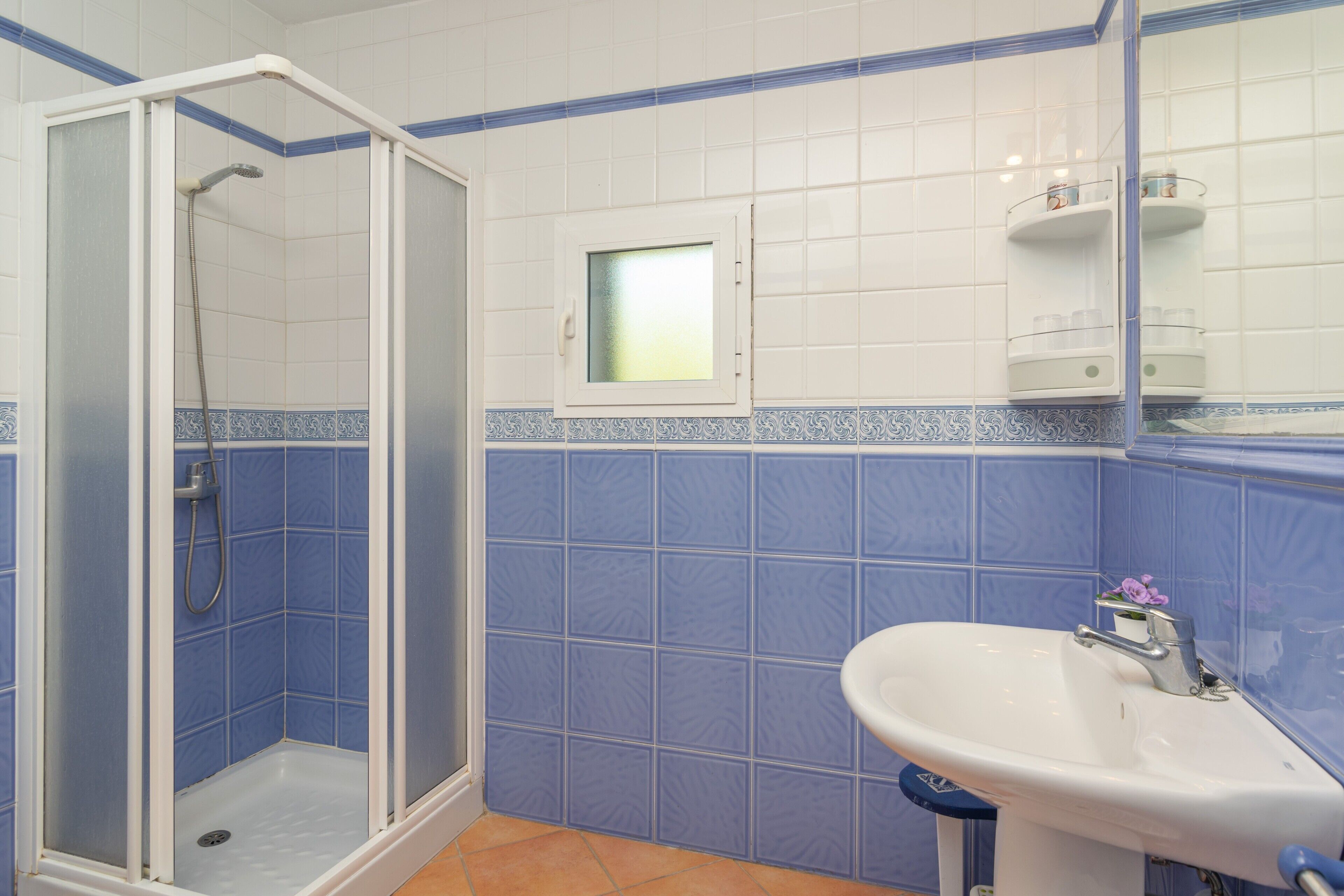 A bathroom with a shower enclosure, a sink, and a small window.