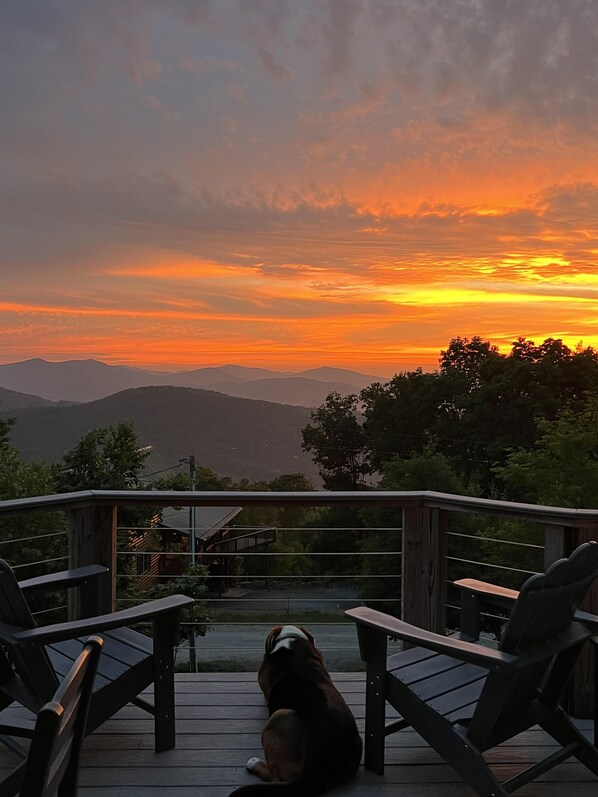 A deck with wooden chairs and a dog.