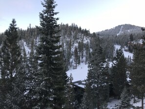 Terrain de l’hébergement 