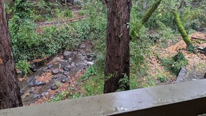 Ein Blick auf eine bewaldete Landschaft mit einem Bach und einer Holzbrücke.