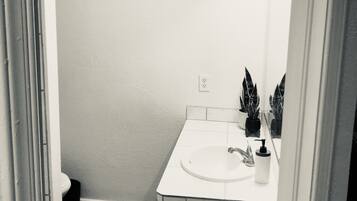 Shower, towels, toilet paper