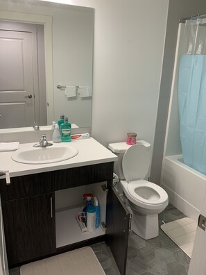 Badewanne, Haartrockner, Handtücher, Toilettenpapier