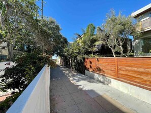 A narrow pedestrian pathway flanked by dense foliage and a wooden fence, leading to a building with a modern facade.