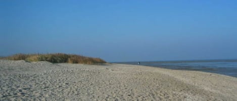In Strandnähe