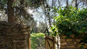 A stone wall with a wooden gate leading to a grassy path surrounded by trees. - ‘Casa Conte Picedi Appartamento Luna’ Apartment with Sea View (Lerici)