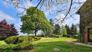 Ein gepflegter Garten mit einem großen Baum, einem Steinweg und einem Backsteinhaus.