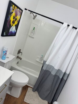 Ensemble baignoire-douche, séchoir à cheveux, serviettes fournies, savon