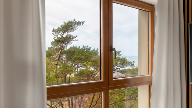 Ein Fenster mit Blick auf Bäume und ein Gewässer.