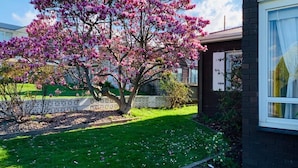 A house with a well-maintained lawn and a flowering tree in front. - Beautiful scenery in Glenorchy with mountain and water view (Glenorchy)