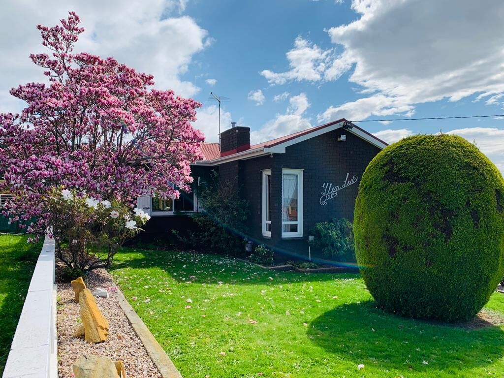 Una casa con fachada oscura, chimenea visible y un jardín bien cuidado con un arbusto grande y un árbol floreciente.