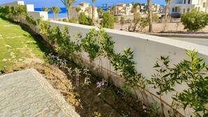 Un quartier résidentiel avec un mur blanc, des plantes vertes et un ciel bleu clair.
