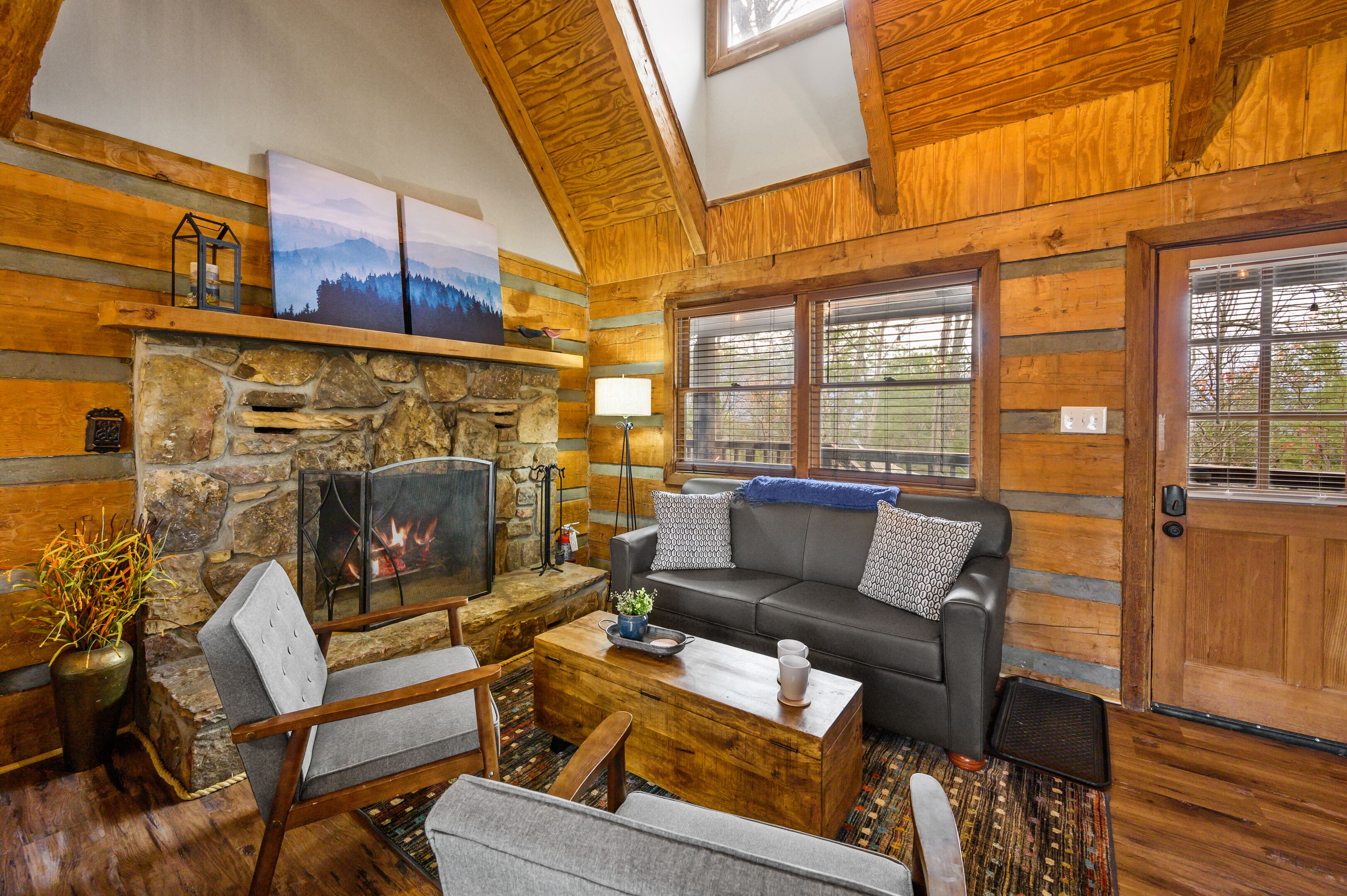 Smart TV, fireplace, video games, books