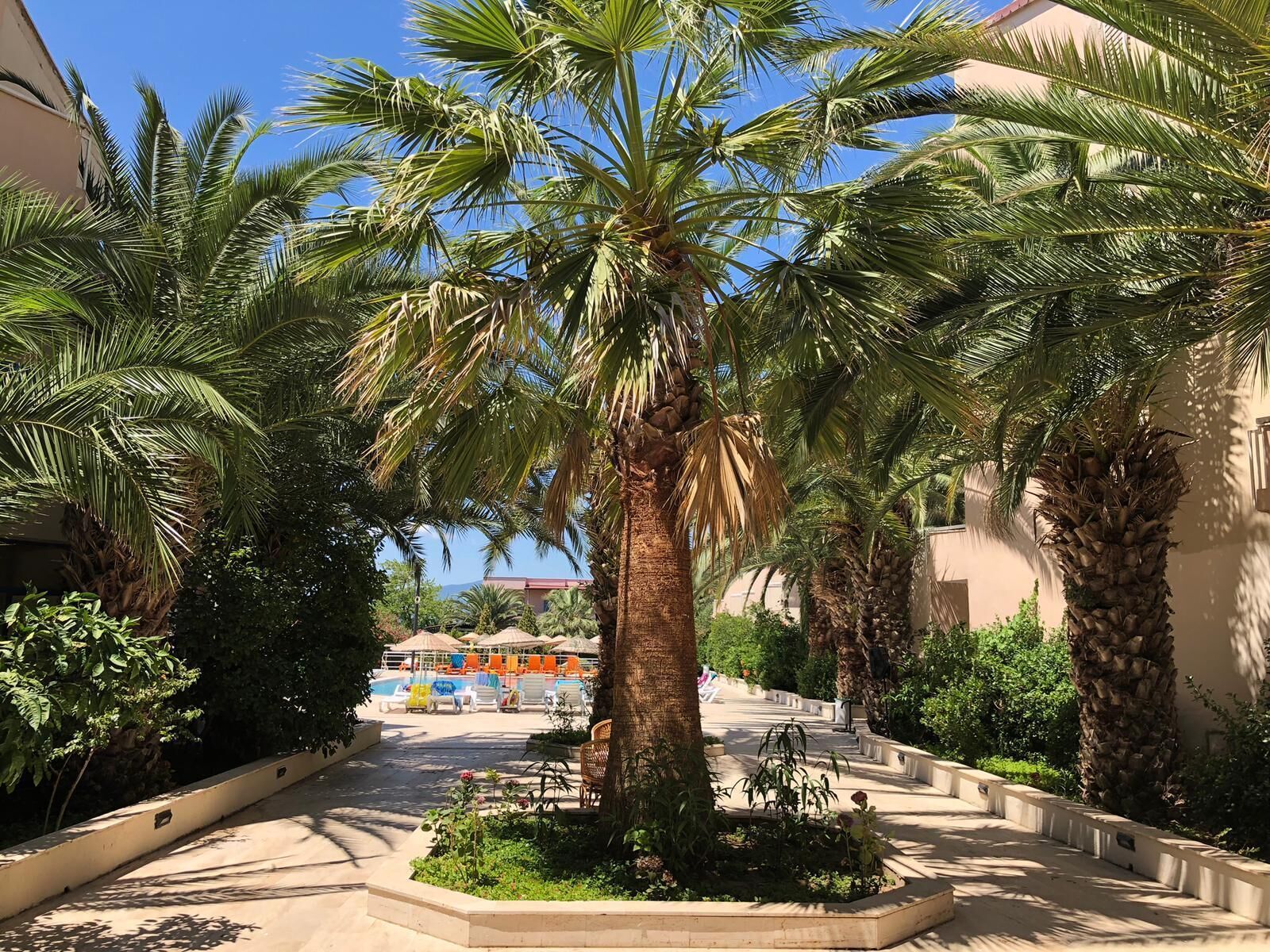 Piscine extérieure (ouverte en saison), parasols de plage