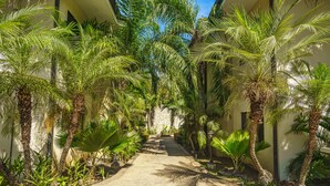 A pathway flanked by palm trees and plants, leading to a building with a light-colored facade. - Walk to Everything! 2BR Villa at Playa Penca - Pool, Parking + Massages on us! (Provincia de Guanacaste)