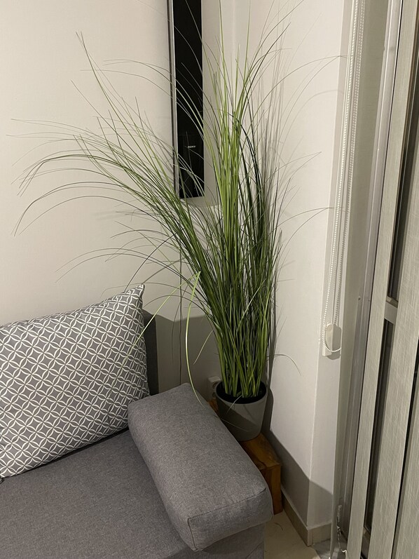 Een hoek van een kamer met een grijze bank, een kussen met een patroon, een hoge groene plant in een pot, en een aan de muur bevestigde Sony speaker.