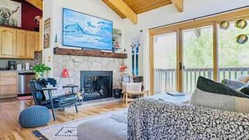 TV connectée, cheminée, livres, chaßne hi-fi