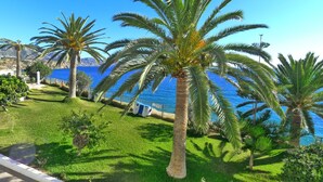 A coastal view with palm trees and a clear blue sky. - R1353 | Tuhillo 8 1D by CG Nerja Rentals (Nerja)