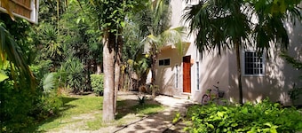 CASA XOLA BIRDWATCHING AND CENOTE LOFT <br>LUXURY IN THE JUNGLE.<br>5 min from reefs!
