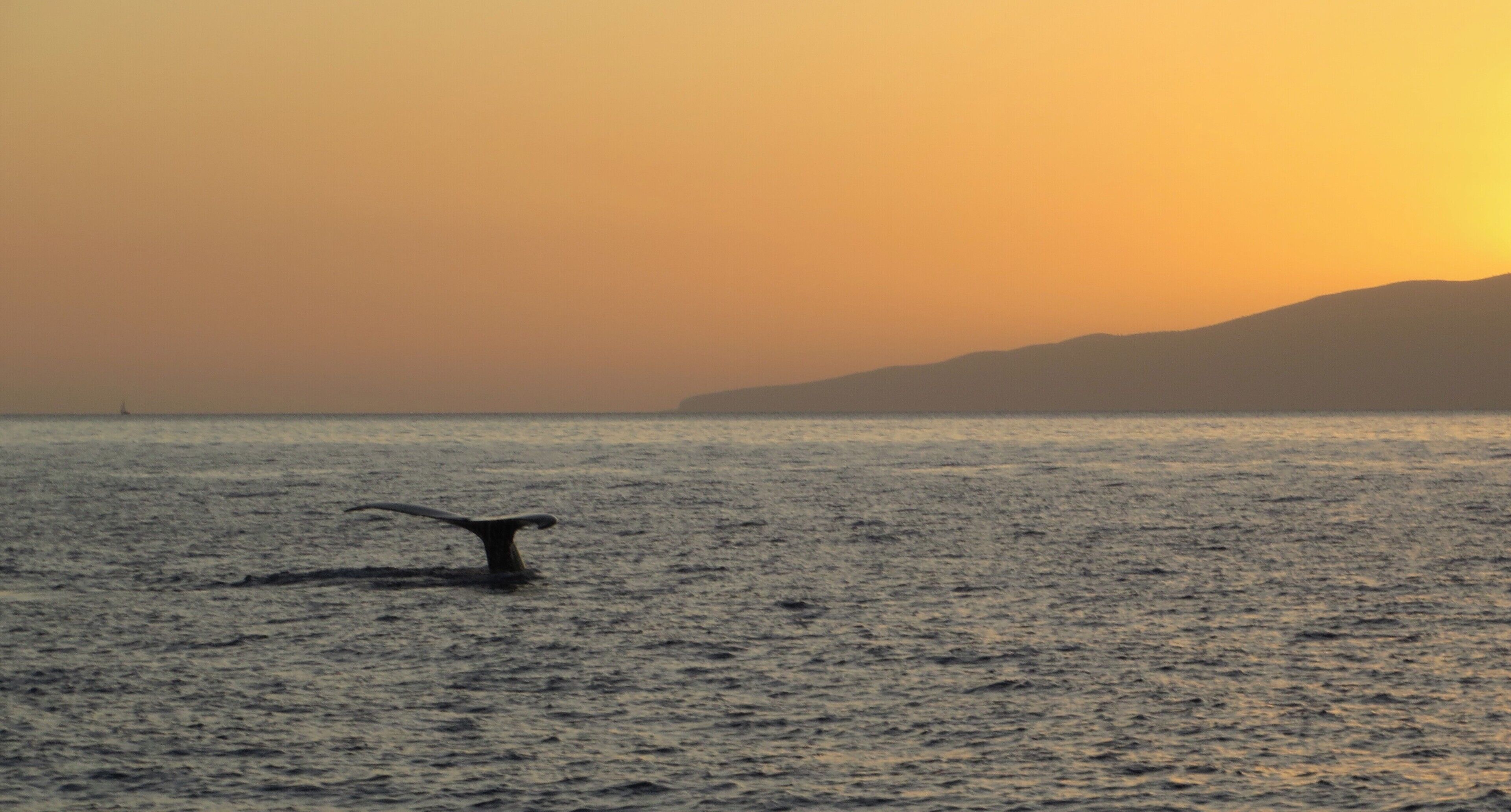 On the beach, sun loungers, beach towels