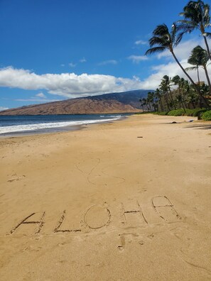 Ein Strand mit dem Schriftzug 'ALOHA' im Sand, Palmen und einem klaren Himmel.