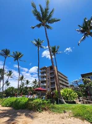 Ein mehrstöckiges Hotel mit Balkonen, umgeben von Palmen und einem Sandstrand.