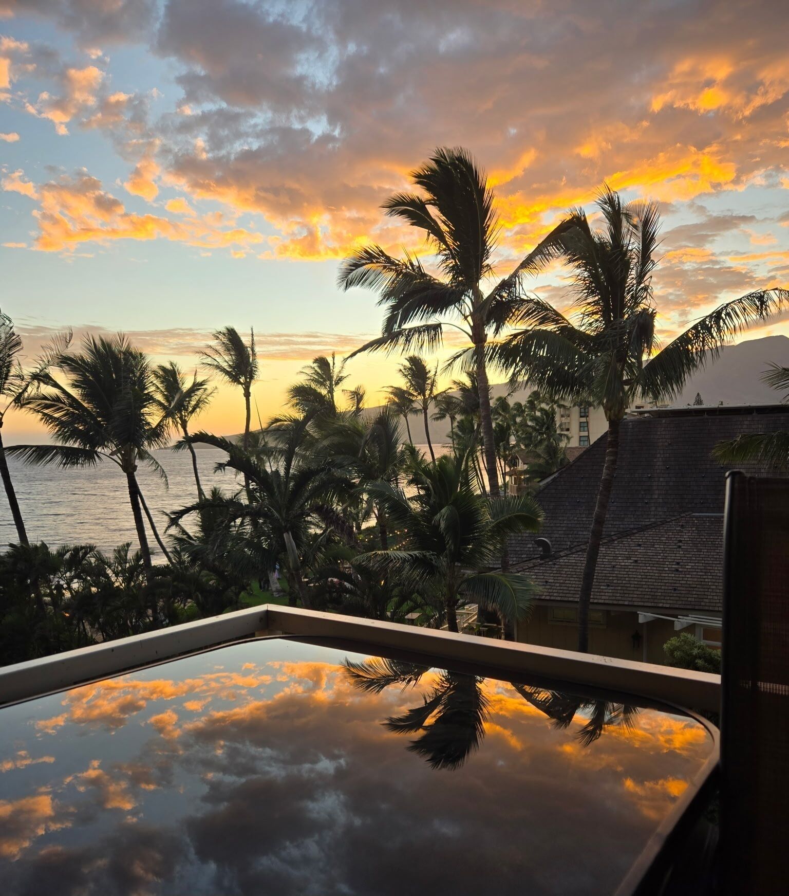 A sunset view with palm trees and a building in the foreground.