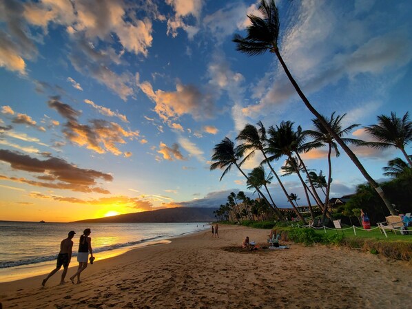 Plage, chaises longues, serviettes de plage