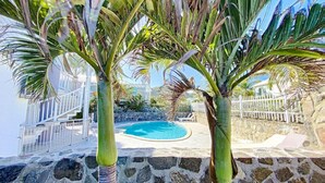 Zona de piscina con muros de piedra y palmeras.