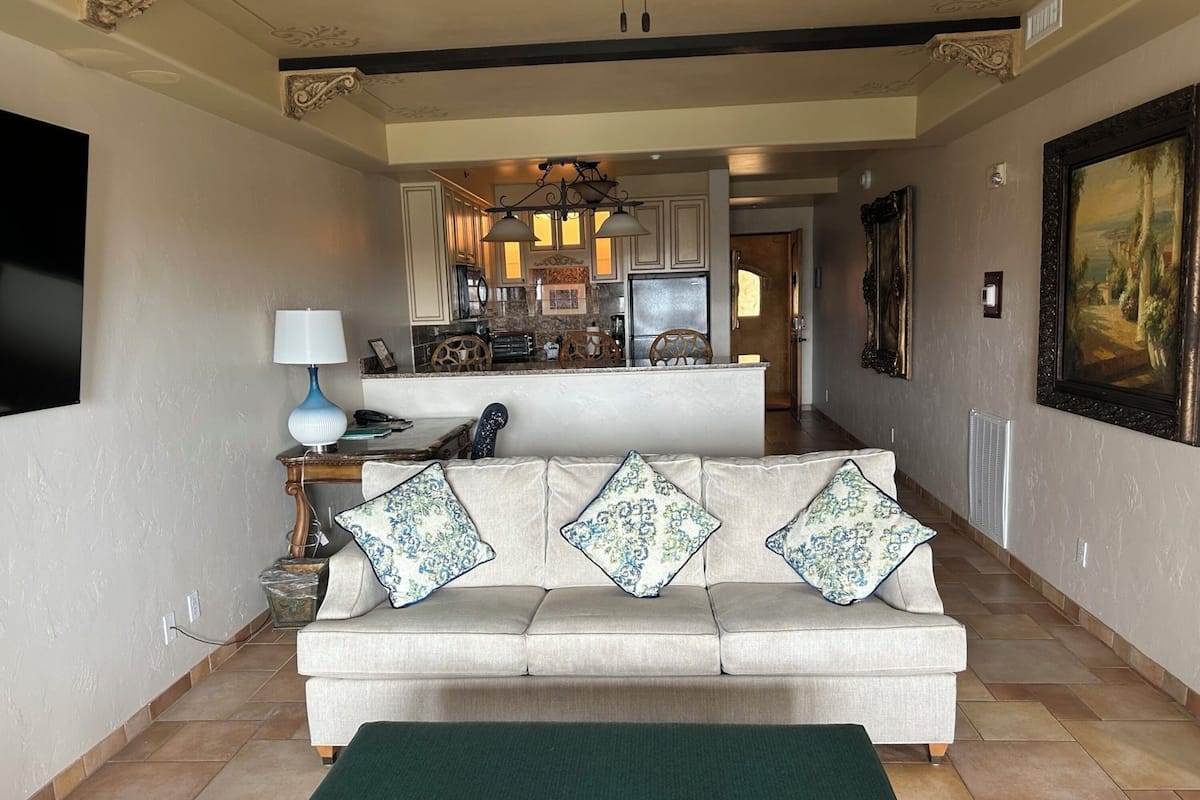 A living room with a sofa, a green rug, a TV, and a kitchen in the background.