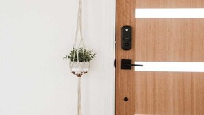 A wooden door with a keyhole and a lock, a white wall with a wooden coat rack, and a hanging macrame plant.