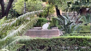 Terrein van de accommodatie