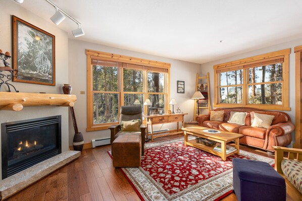 Fireplace, DVD player